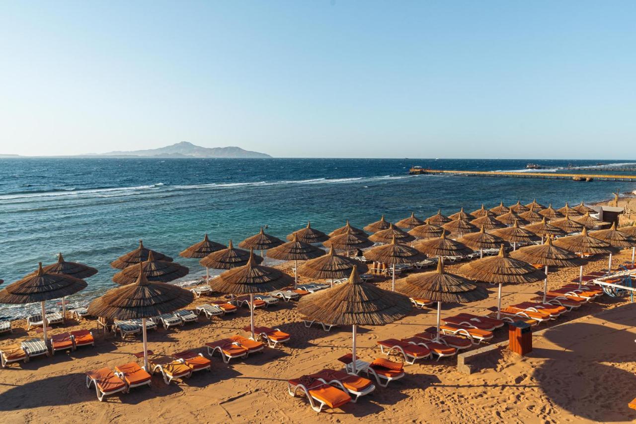 Nubian Village, Families And Couples Only Sharm el-Sheikh Exteriör bild